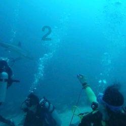 神话故事:倏忽为浑沌凿七窍,导致浑沌死亡